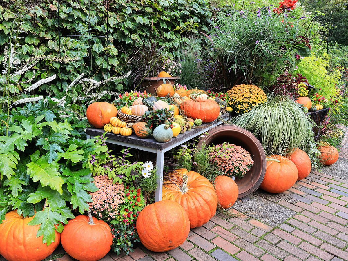 サムネイル_〜バラクラ収穫祭2025〜