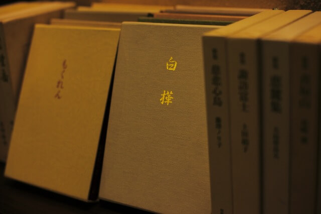 〜蓼科 親湯温泉よりお届けする今月の1 冊〜『友情』