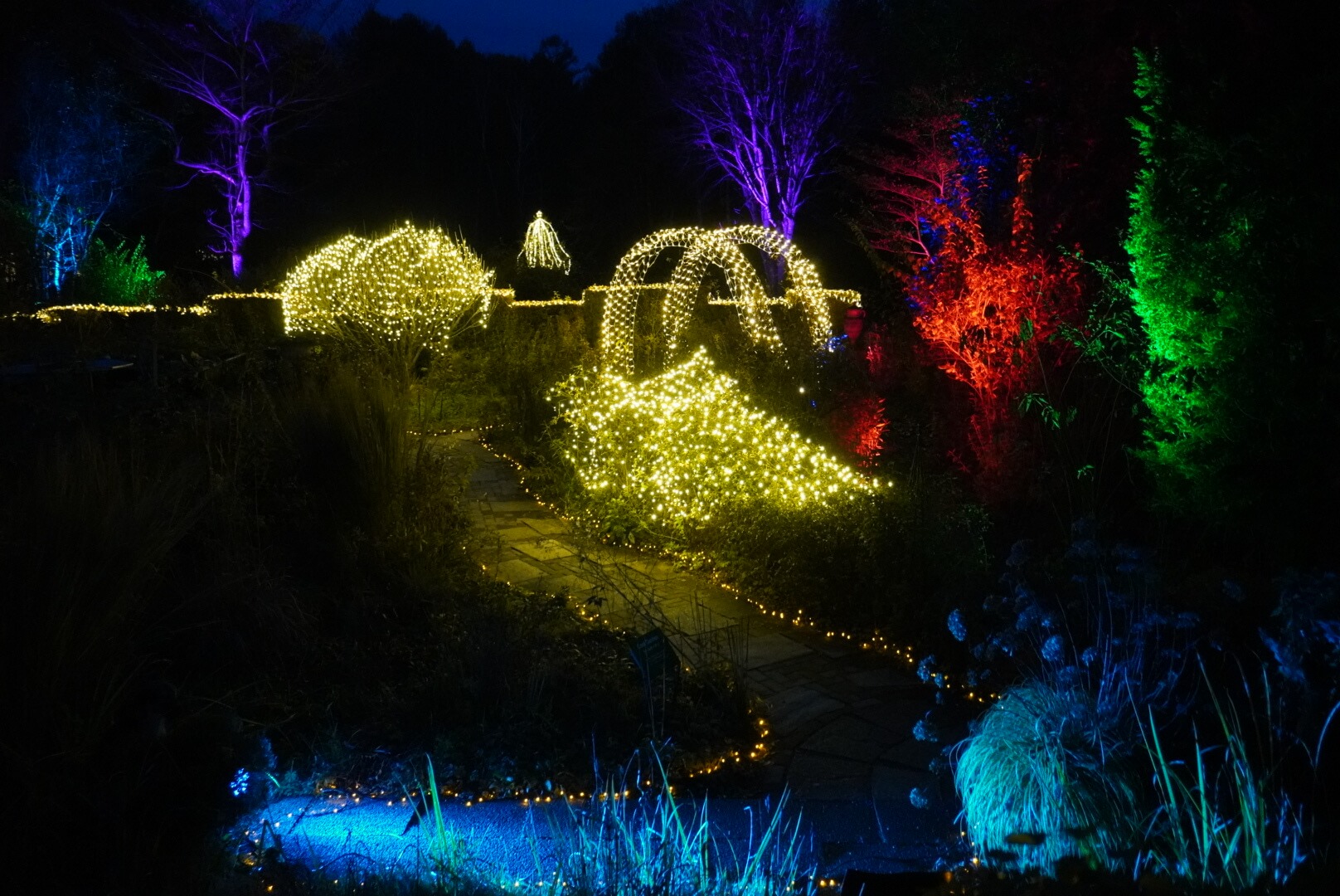 〜クリスマスライティング《Magical Lighting》 &県民無料デー／蓼科高原バラクライングリッシュガーデン〜