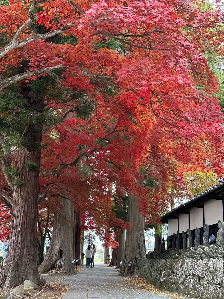 〜紅葉状況　長円寺〜