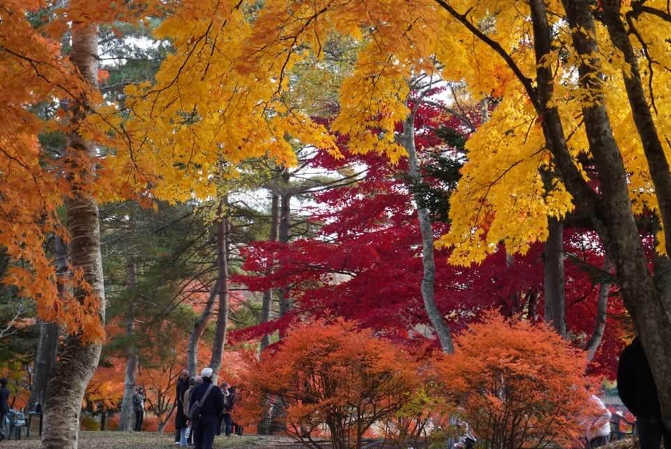 〜蓼科紅葉状況　／蓼科湖〜