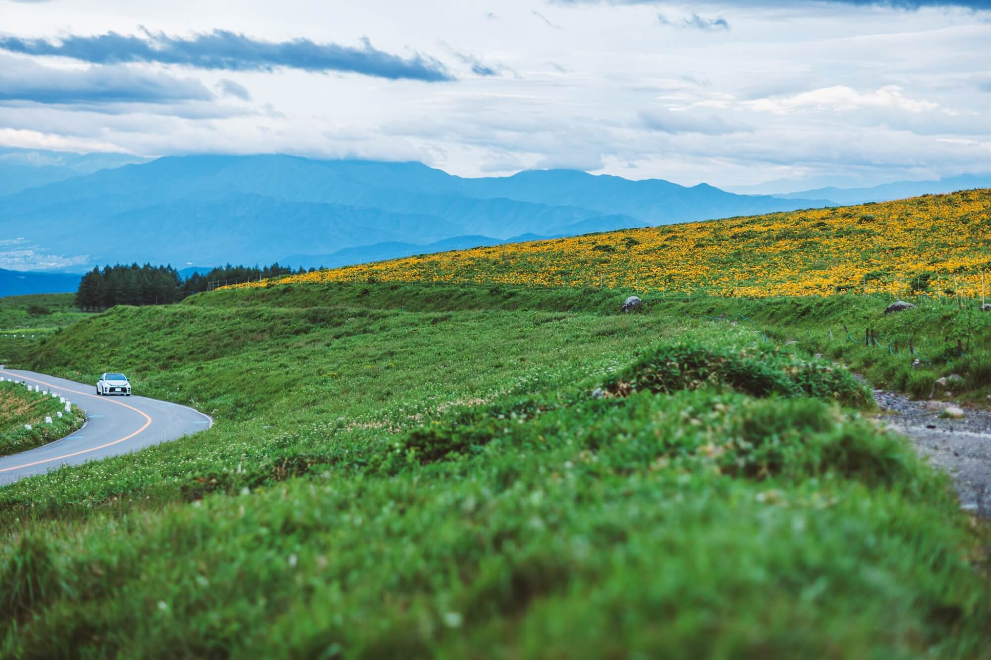 〜信州が誇る「天空の道」ビーナスライン〜