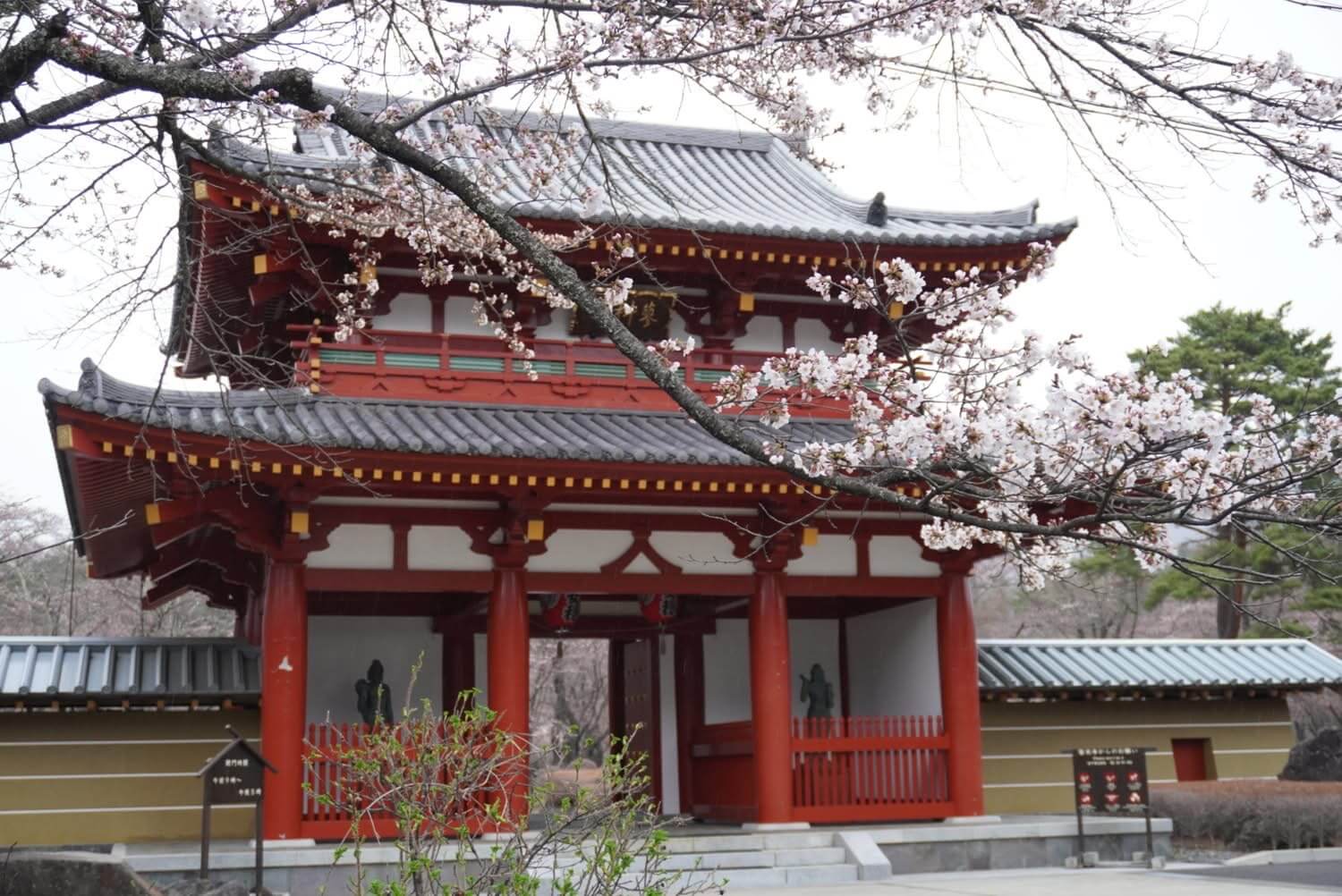 〜聖光寺　桜状況（4/15）〜