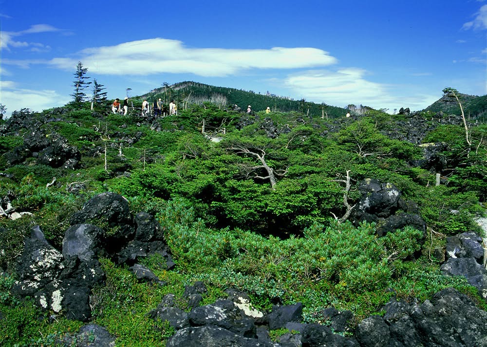 サムネイル_〜北八ヶ岳ロープウェイに乗って夏の登山へ！〜