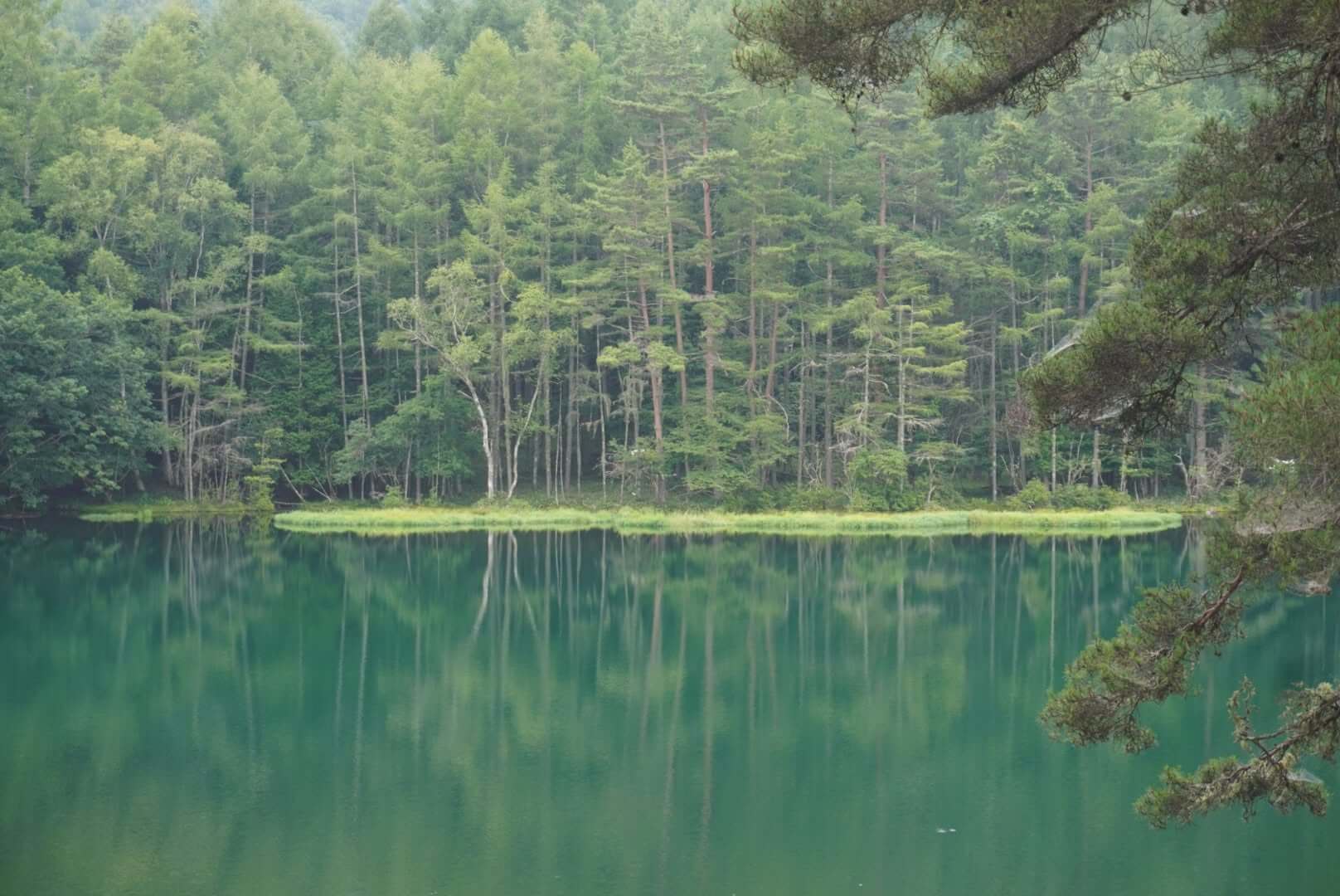 〜蓼科おすすめスポット 奥蓼科温泉 御射鹿池〜
