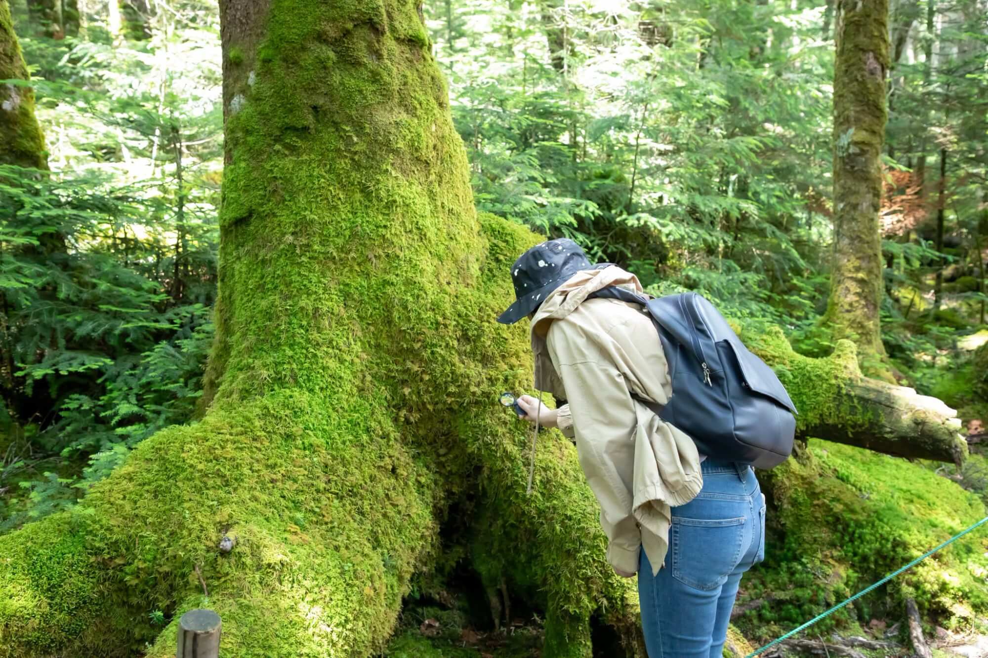 〜信州避暑旅で涼む「白駒の池」〜